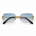Lunettes Cartt Élégance – Offre Exclusive